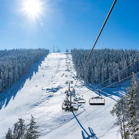 Apartament L&a Palisad Sa Garazom Zlatibor