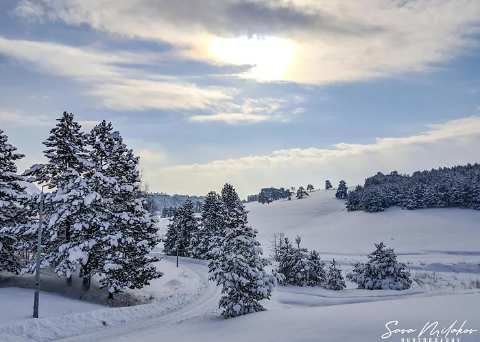 L&a Palisad Sa Garazom 아파트