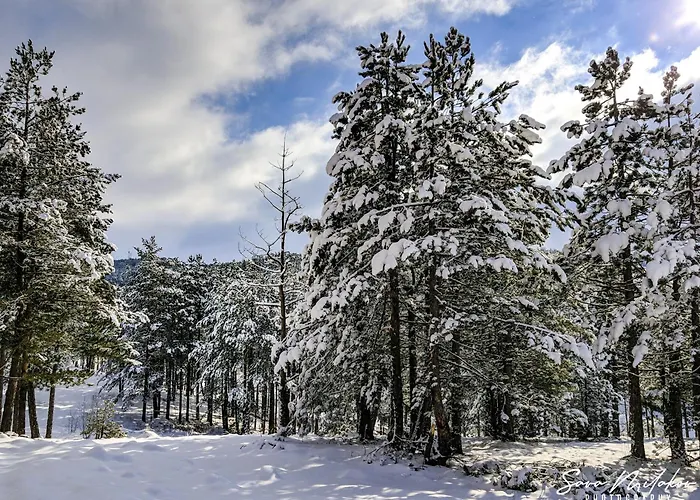 아파트 L&a Palisad Sa Garazom