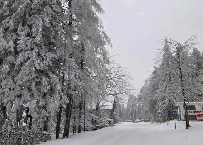 아파트 L&a Palisad Sa Garazom