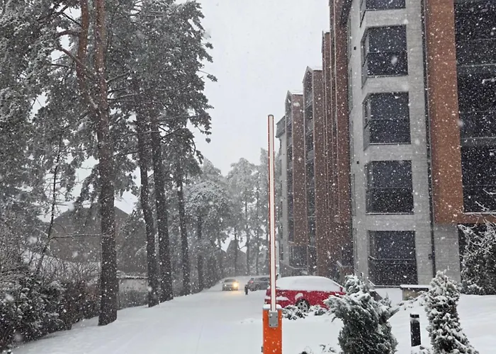 L&a Palisad Sa Garazom *